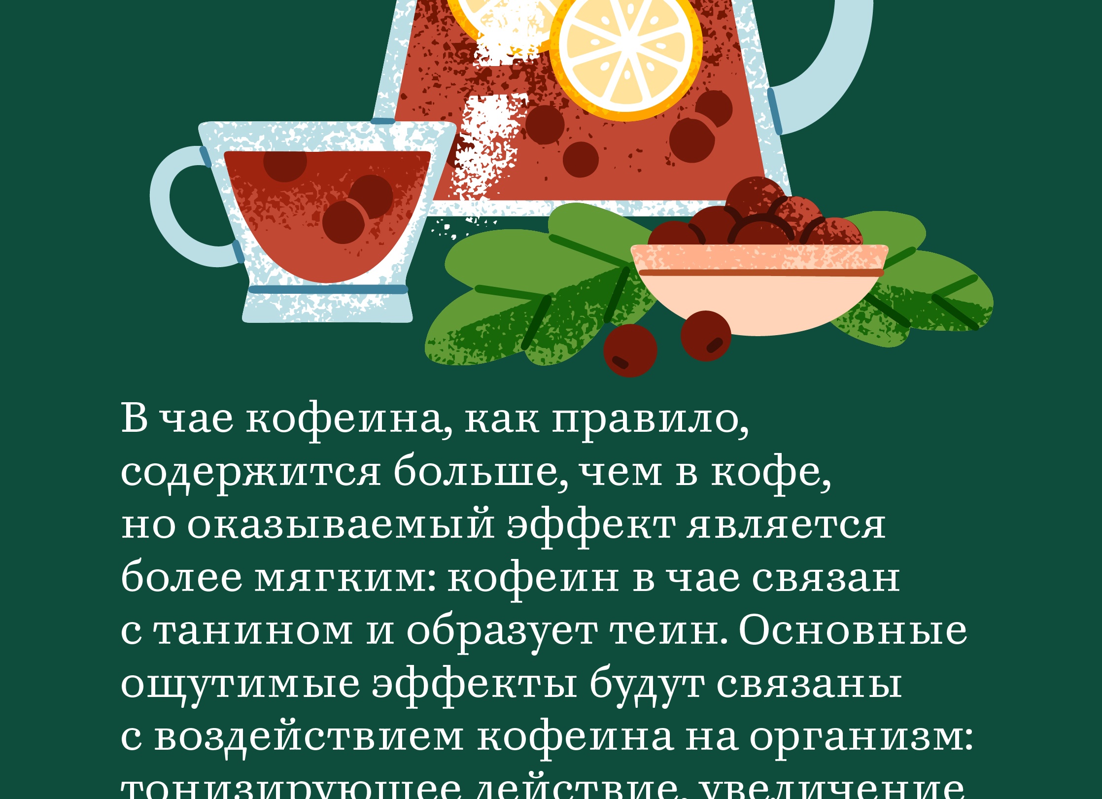 Чай — это про вкус, привычку и… биохимию