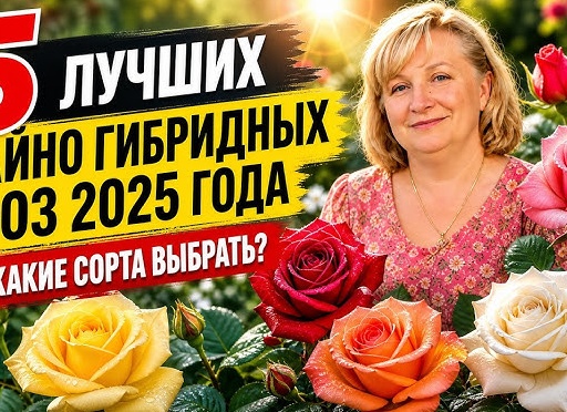 Чай 2025: Как выбрать идеальный сорт и его влияние на здоровье