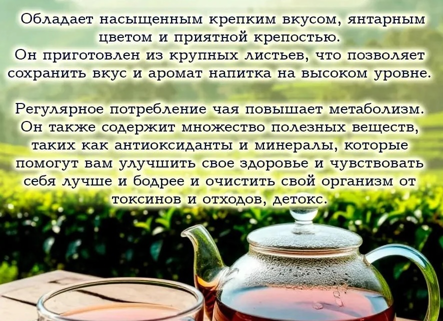Чай. Полезен ли он для организма?