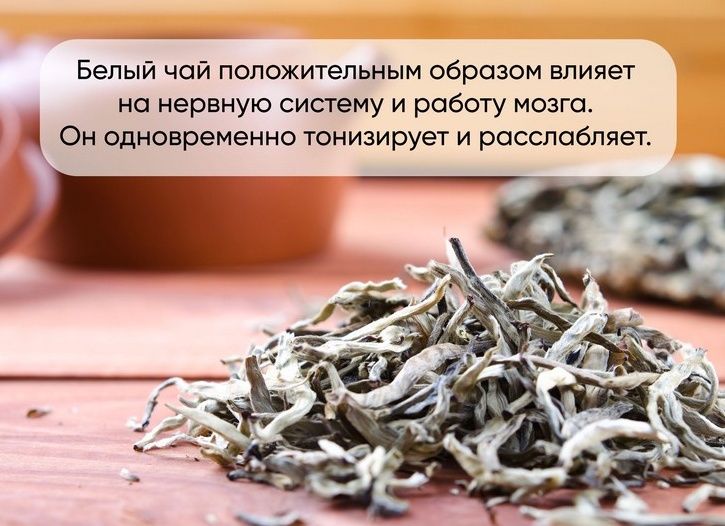 Белый чай. Польза и вред для здоровья